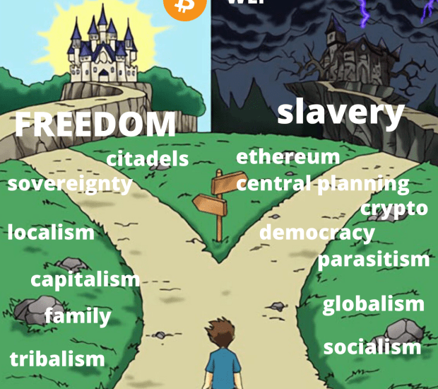 Freedom Vs Slavery