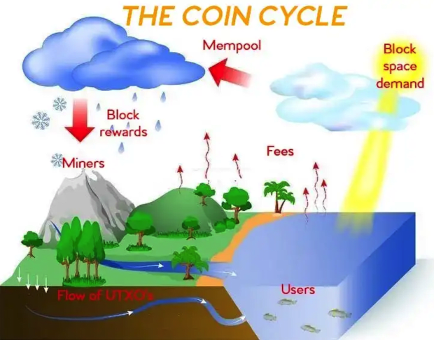 The Coin Cycle