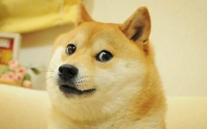 Dogememeeees 768x432 1