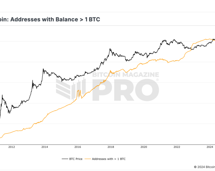 Bm Pro Bitcoin Wallet Sizes 1 Btc