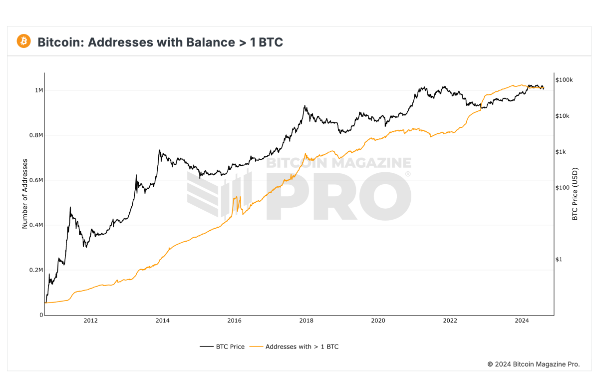 Bm Pro Bitcoin Wallet Sizes 1 Btc